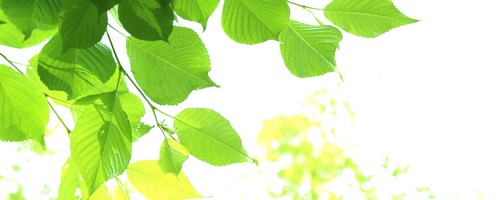 �ʃN���������_�ۓ���̔��T�C�g��